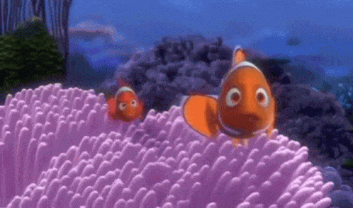 Finding Nemo Barracuda GIF