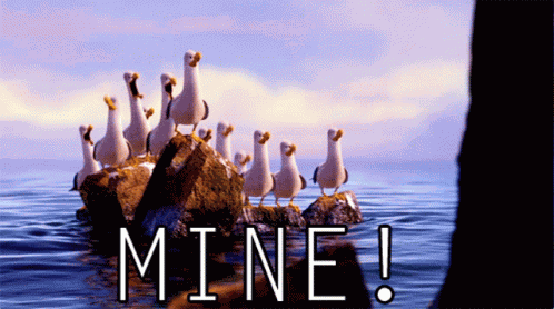 Finding Nemo Seagulls GIF