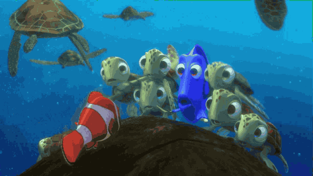 Finding Nemo GIF