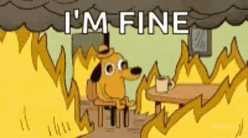 Fine This Is Fine GIF