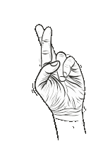 Fingers Crossed Crossed Sticker