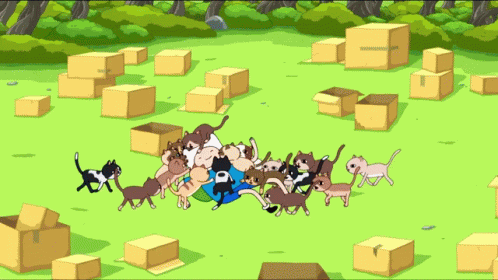 Finn Cats GIF