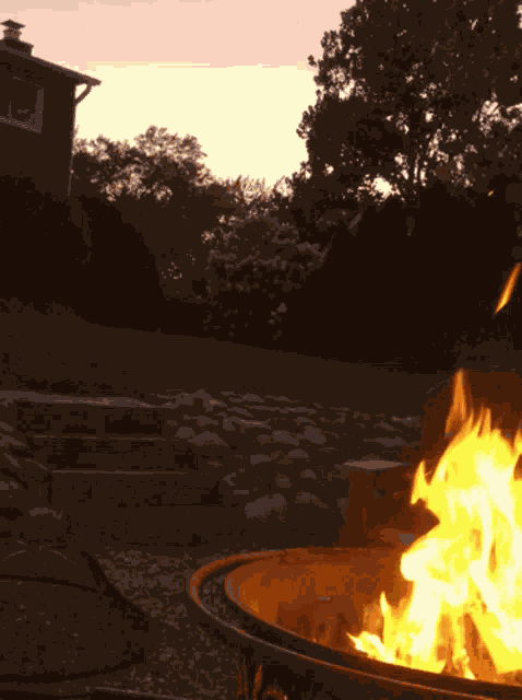 Fire Bonfire GIF