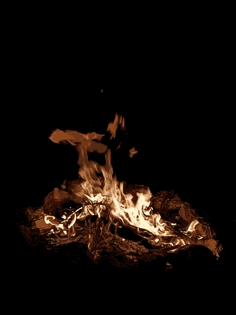 Fire Campfire GIF