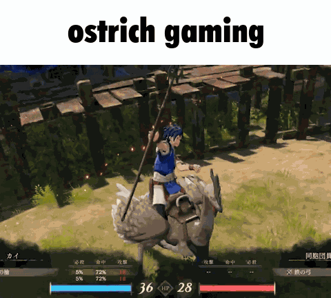 Fire Emblem Fire Emblem Fortune'S Weave GIF