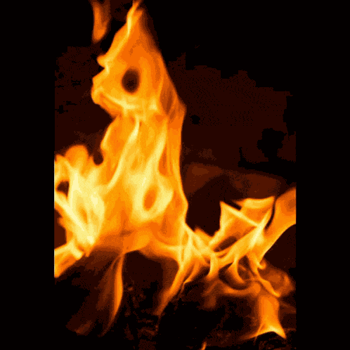 Fire Firee GIF