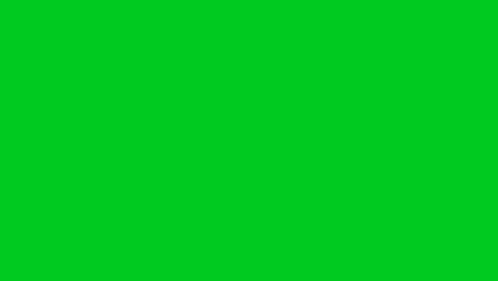 Fire Green Screen GIF