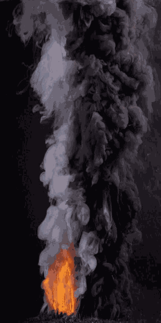 Fire Grey GIF