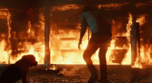 Fire Hot GIF