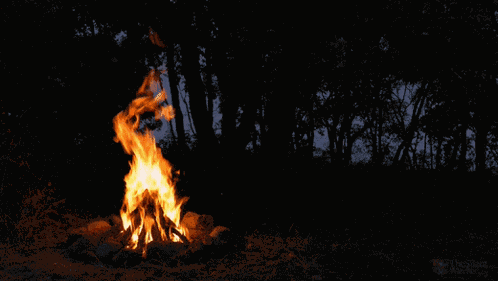 Fire Pit GIF
