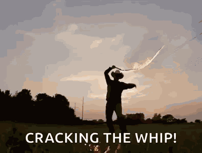 Fire Whip GIF