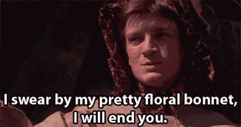 Firefly Serenity GIF