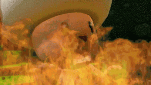 Firetoad Toad On Fire GIF