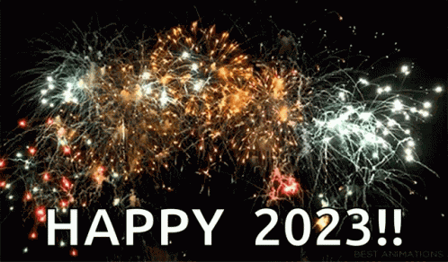 Firework 2020 GIF