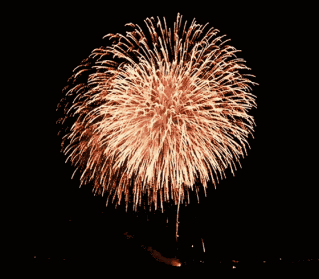 Firework Good GIF