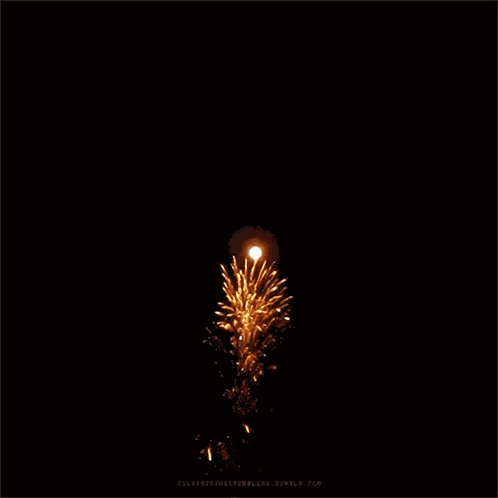 Fireworks 4th Of July GIF