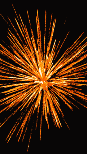Fireworks Firework Photography GIF