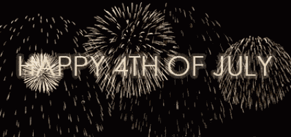 Fireworks Firework GIF