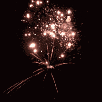 Fireworks Fireworks Gif GIF