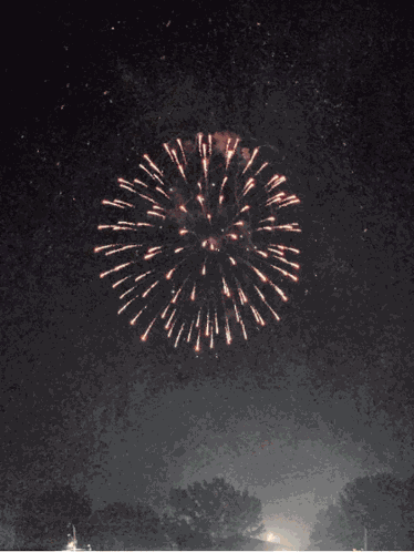 Fireworks Fireworks Gif GIF
