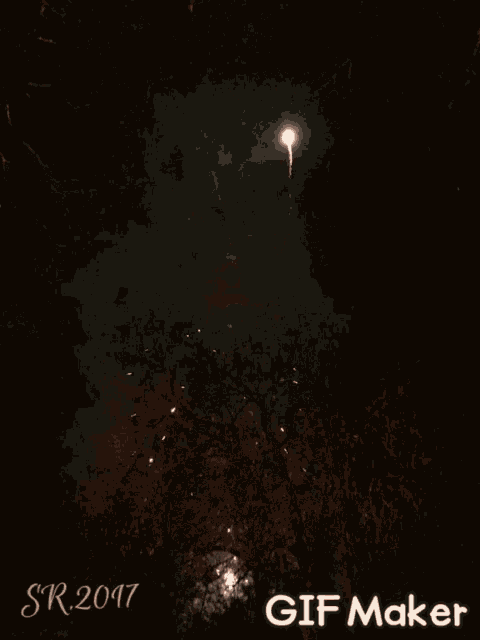 Fireworks GIF