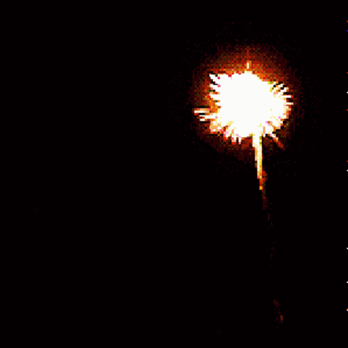 Fireworks Grand Finale 2 GIF