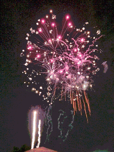 Fireworks Independence Day 4th Of July Starburst Peony Comet Explosion Fireworks Show GIF