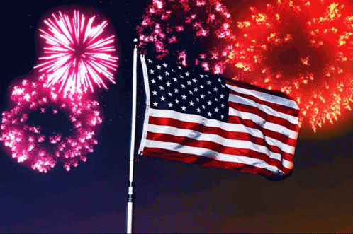 Fireworks Independence GIF