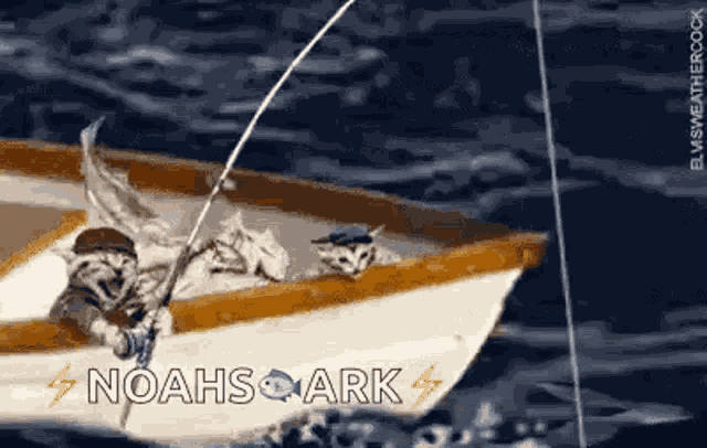 Fish Fishing GIF
