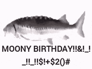 Fish Spin Spin Birthday GIF