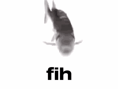 Fish Spinning Fish GIF