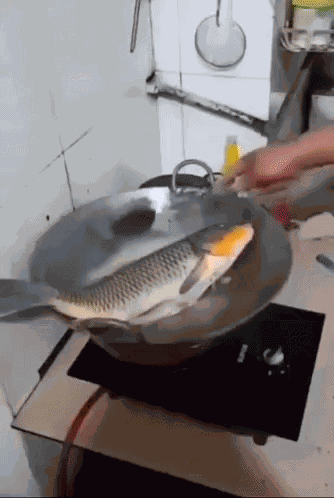 Fish Tweakin GIF