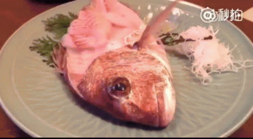 Fish GIF