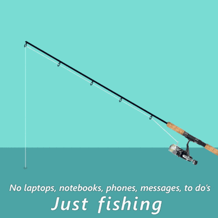 Fishing Fishing Pole GIF