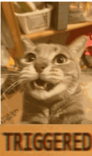 Fishtook Triggered GIF