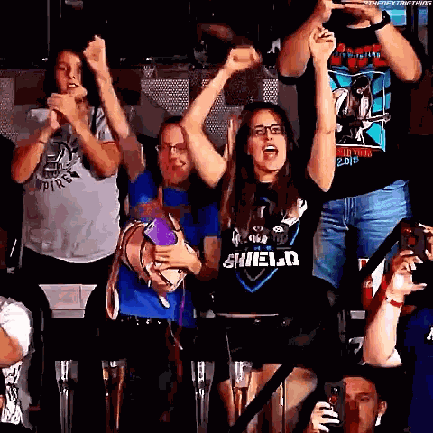 Fist Pump Wwe Fan GIF