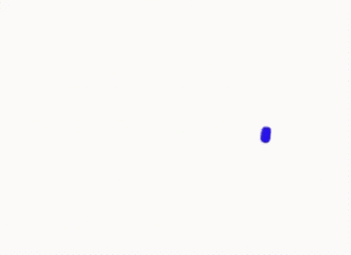 Fit Loading Loading GIF