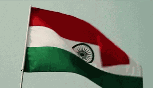 Flag GIF