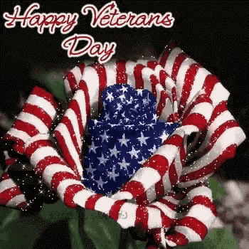 Flag Day Happy Veterans Day GIF