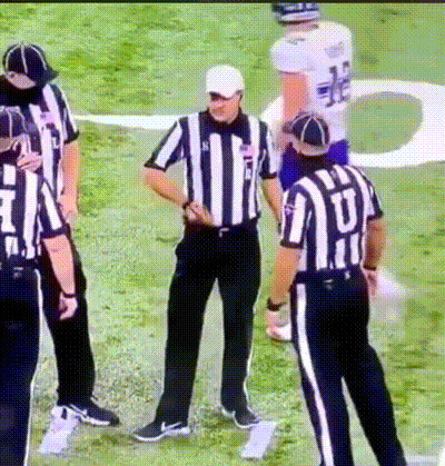 Flag Ref GIF