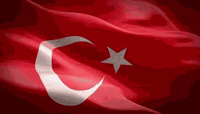 Flag Turkey GIF