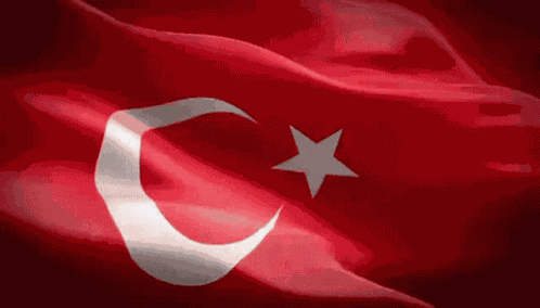 Flag Turkey GIF