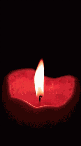 Flame Fire GIF