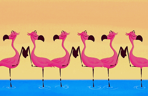 Flamingo Flamingos GIF