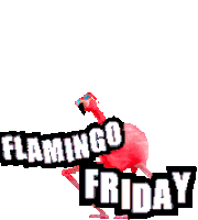 Flamingo Friday Flamingo Sticker