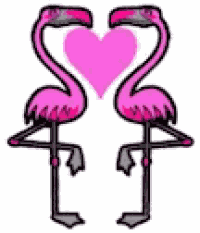Flamingo Heart GIF