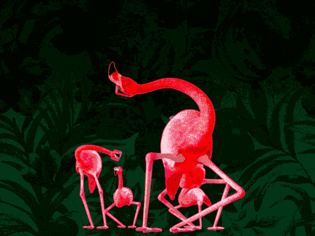 Flamingo Pink GIF