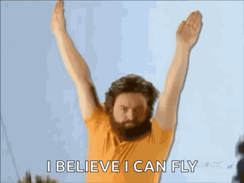 Flight Fly GIF