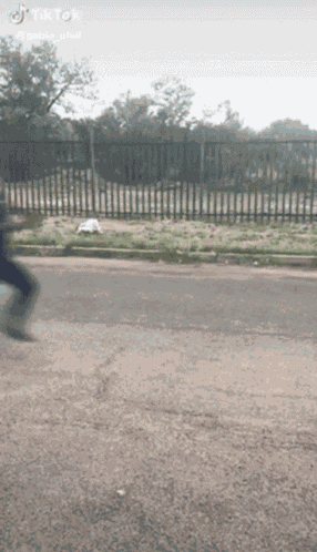 Flipping Off Flip Off Teich GIF