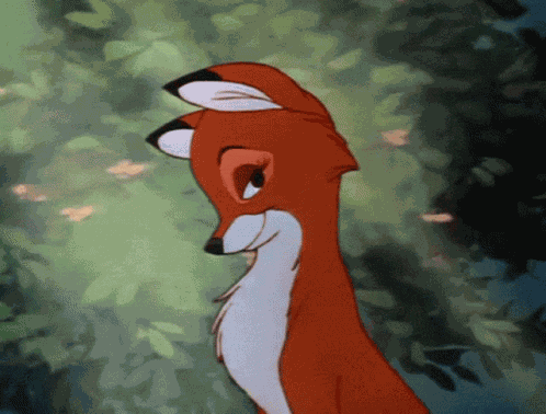 Flirty Fox Fluttering Eyelashes GIF